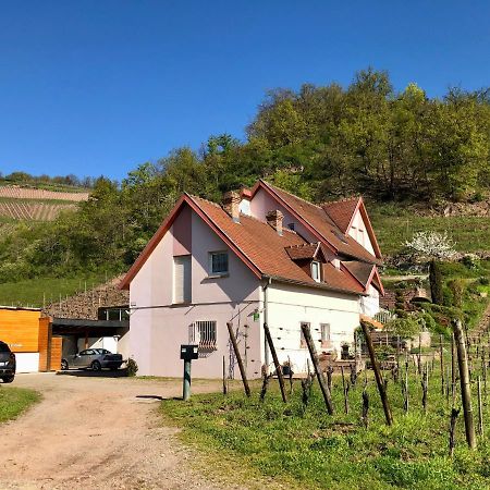 Le Gite Du Sommerberg Niedermorschwihr Kültér fotó