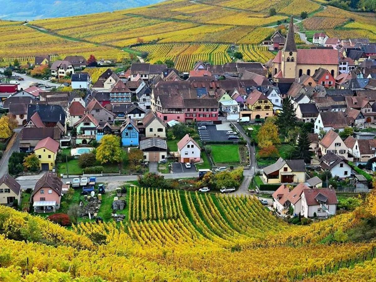 Le Gite Du Sommerberg Niedermorschwihr Kültér fotó